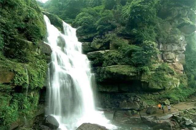 “大美青海”商标成功续展